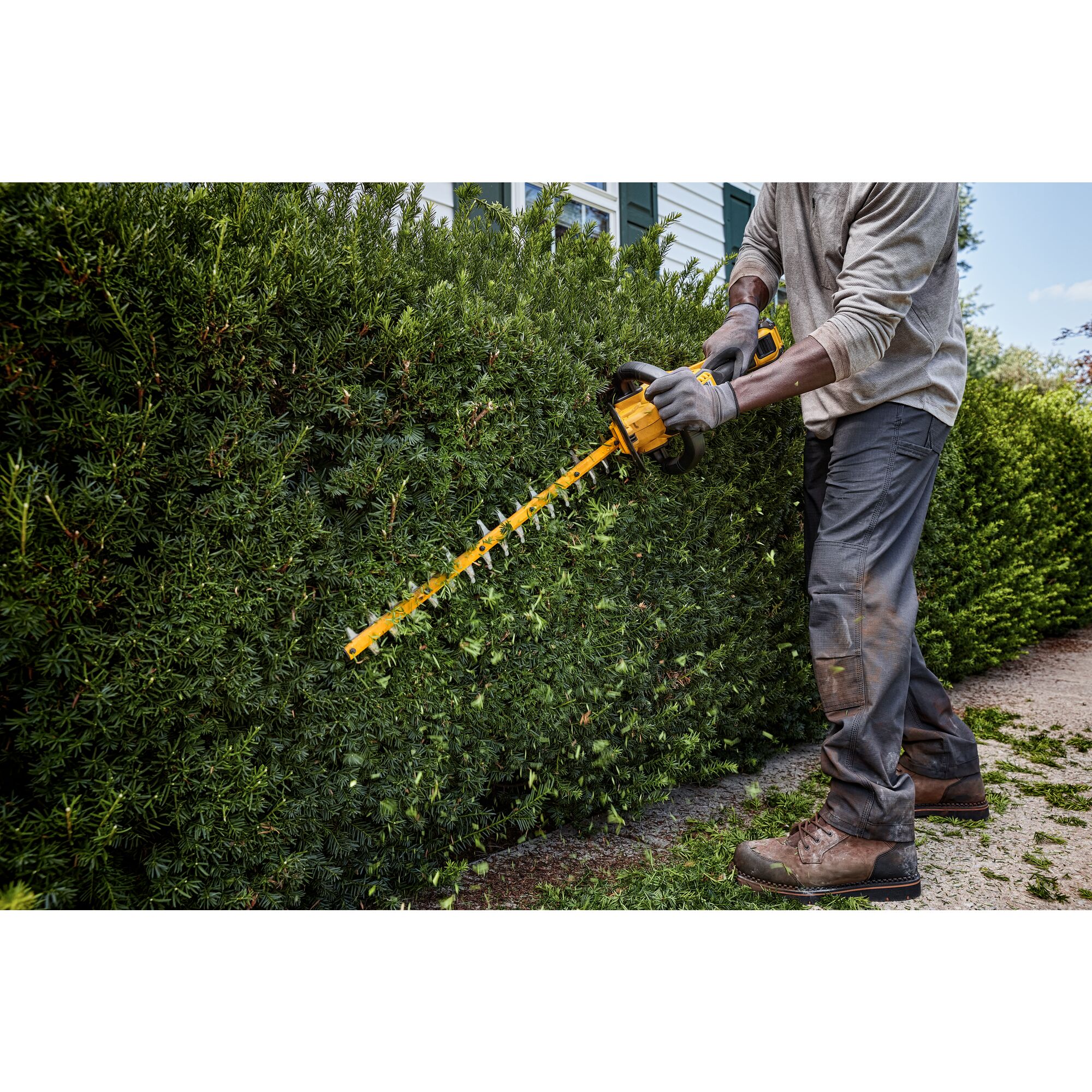 Flexvolt hedge trimmer new arrivals