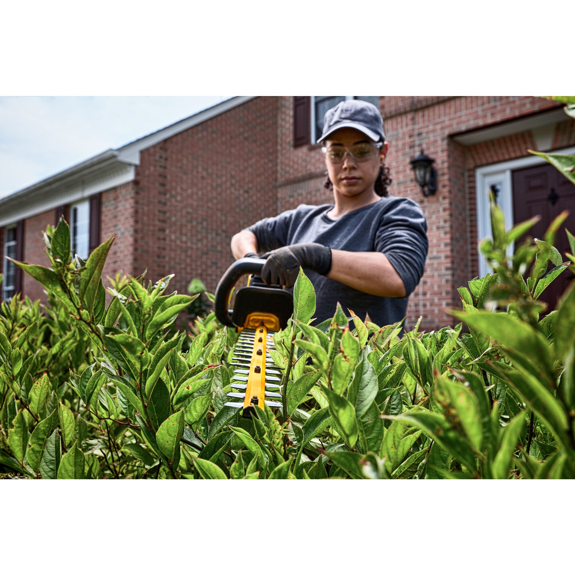 Dewalt 54v hedge deals trimmer