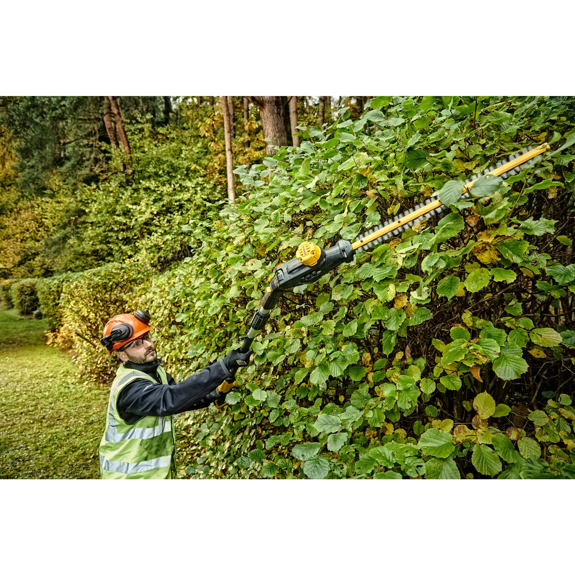 Dewalt hedge trimmer online pole