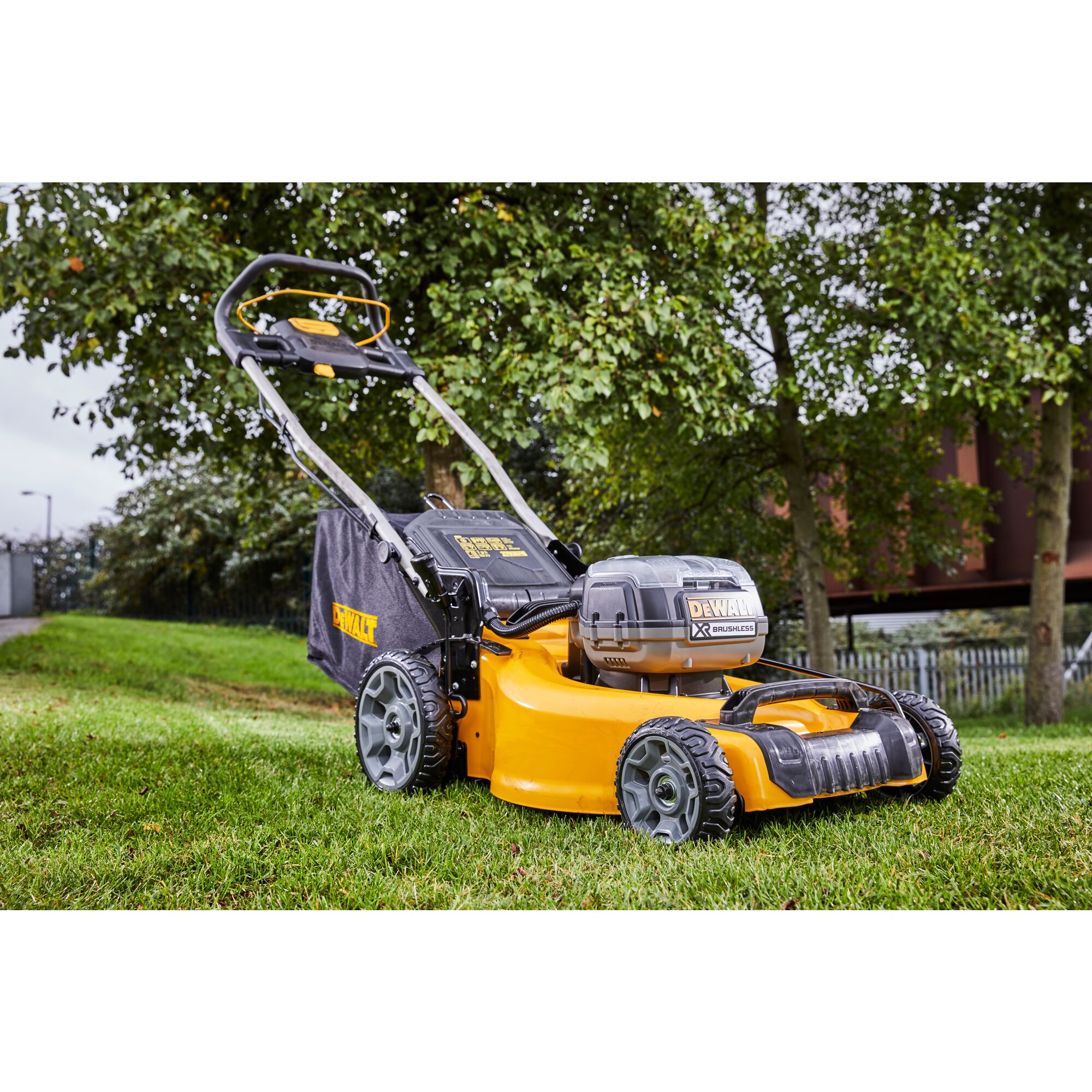 Dewalt lawn online mowers